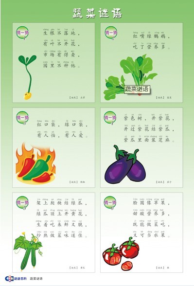 教学挂图
