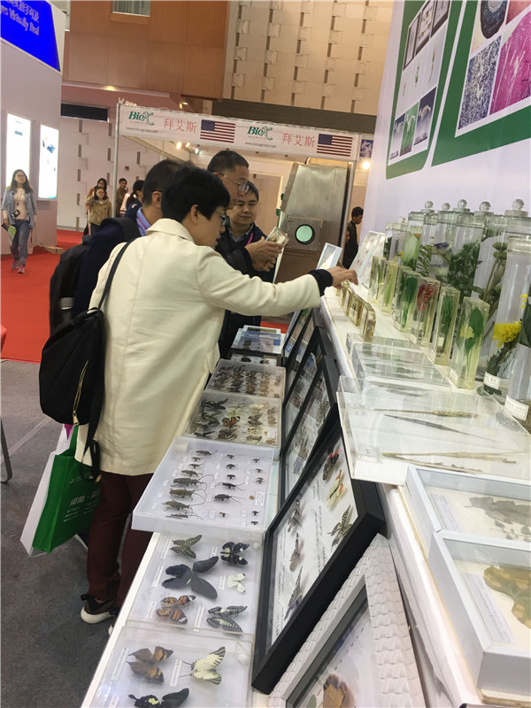 生物切片