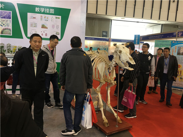 生物切片