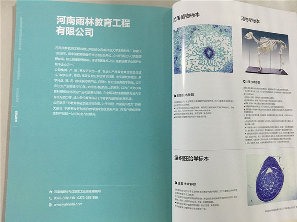 生物切片