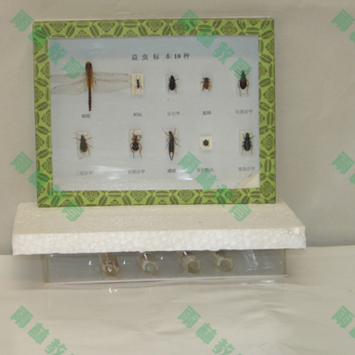益虫标本