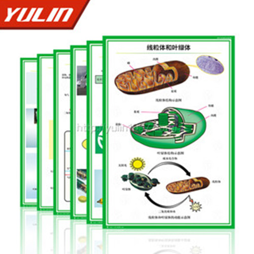 病虫害防治挂图