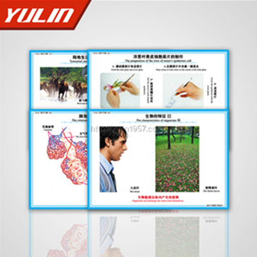 微生物及免疫教学挂图