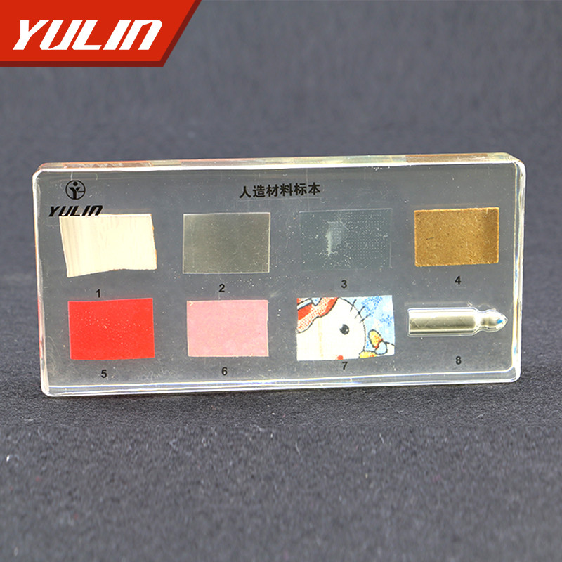 人造材料包埋标本