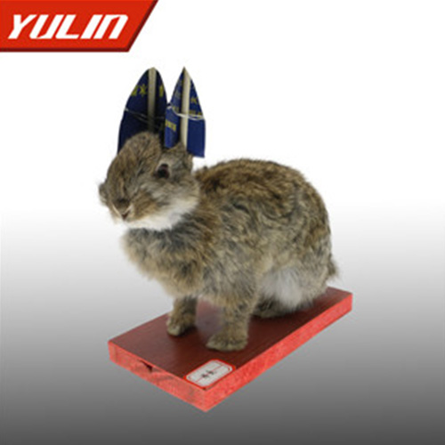 草兔标本
