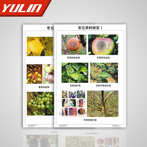 园林植物病理挂图