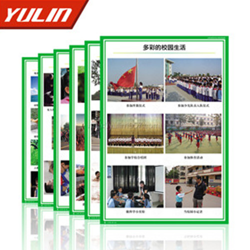 小学品德与社会挂图