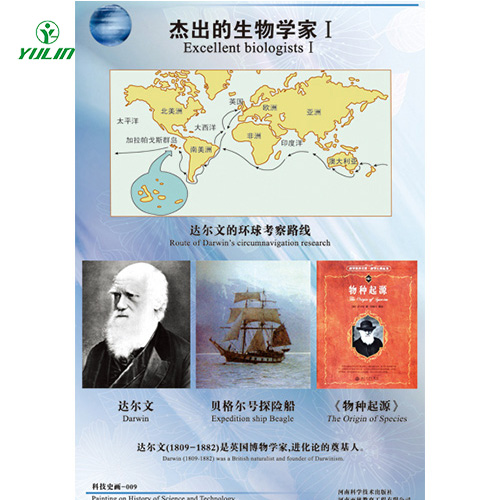 校园文化建设教学挂图